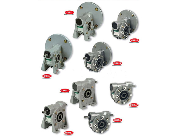 CHIARAVALLI減速機(jī)